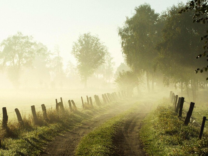Foggy country road at dawn