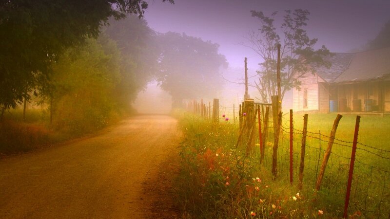 Foggy country road at dawn