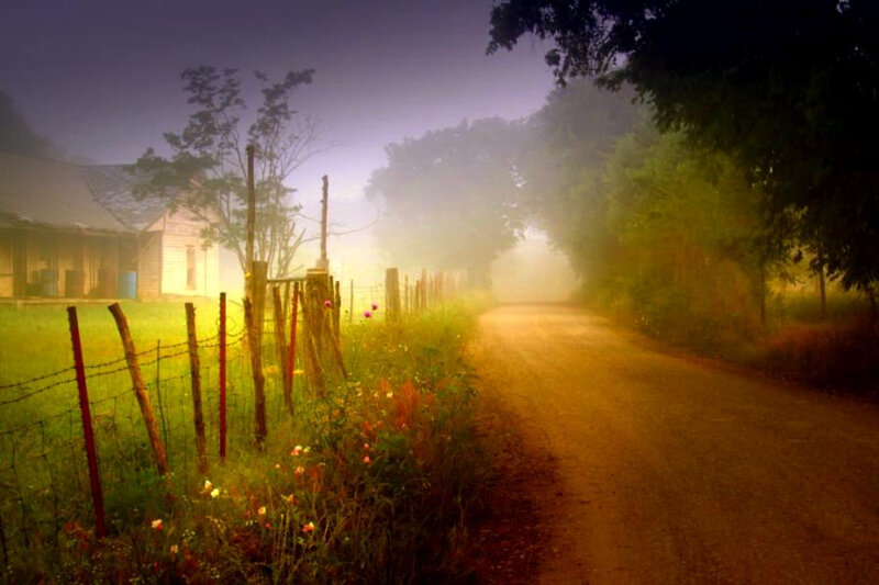 Foggy country road at dawn