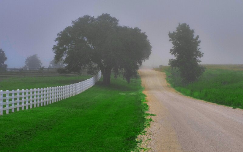 Foggy country road with white fence