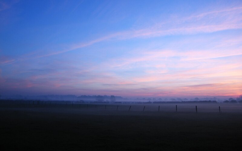 Foggy dawn over a field