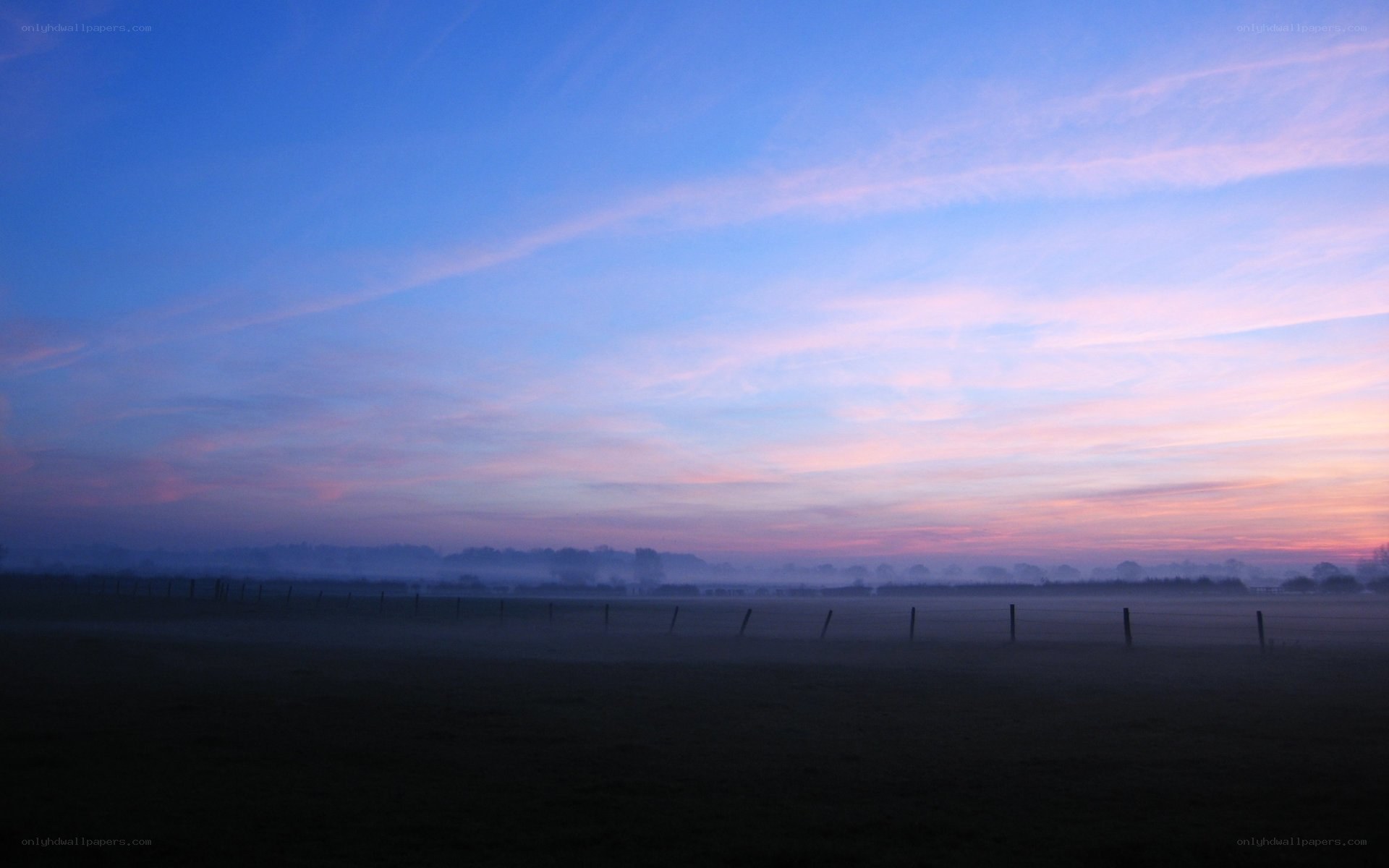Foggy dawn over a field