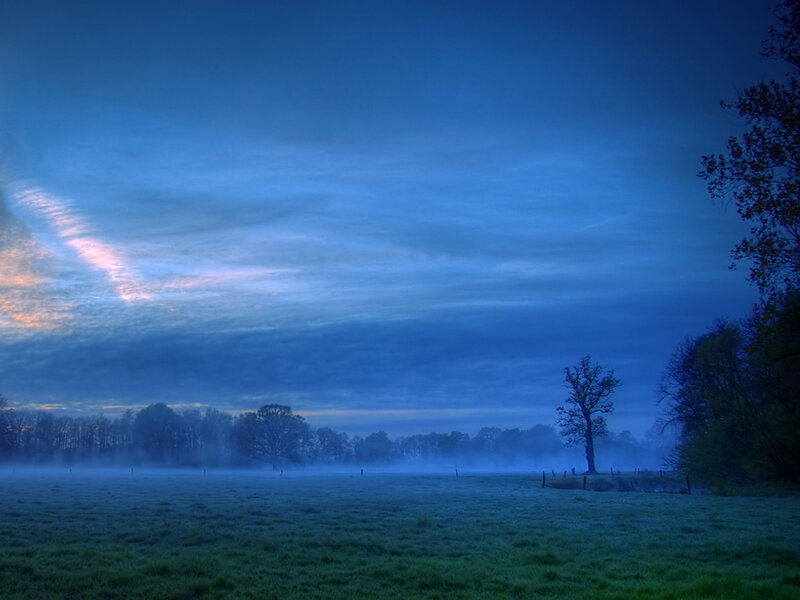Foggy dawn over a green field