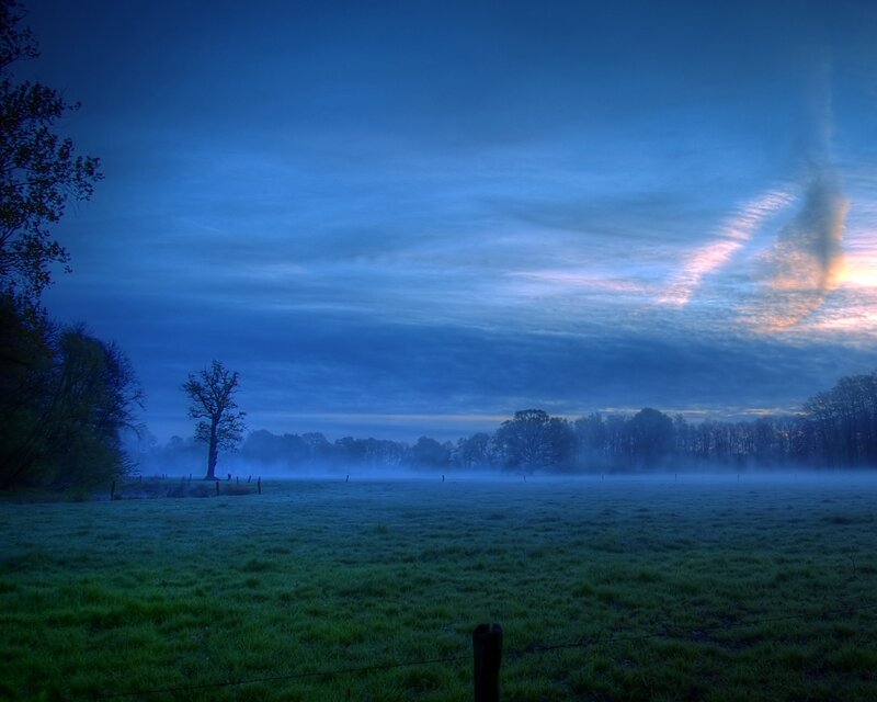 Foggy dawn over a green field
