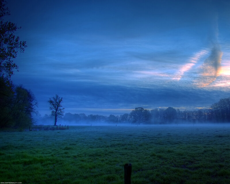 Foggy dawn over a green field