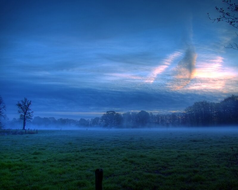 Foggy dawn over a green field