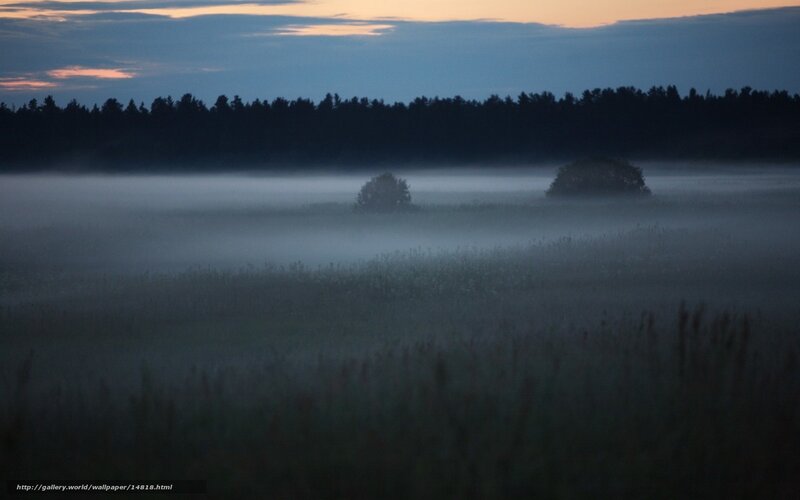 Foggy dawn over a misty field