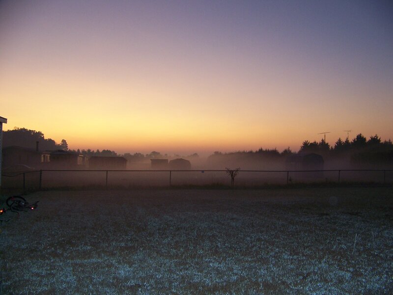 Foggy dawn over a residential area