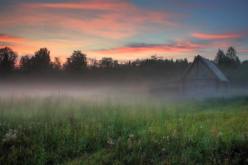 Foggy dawn over a wooden cabin