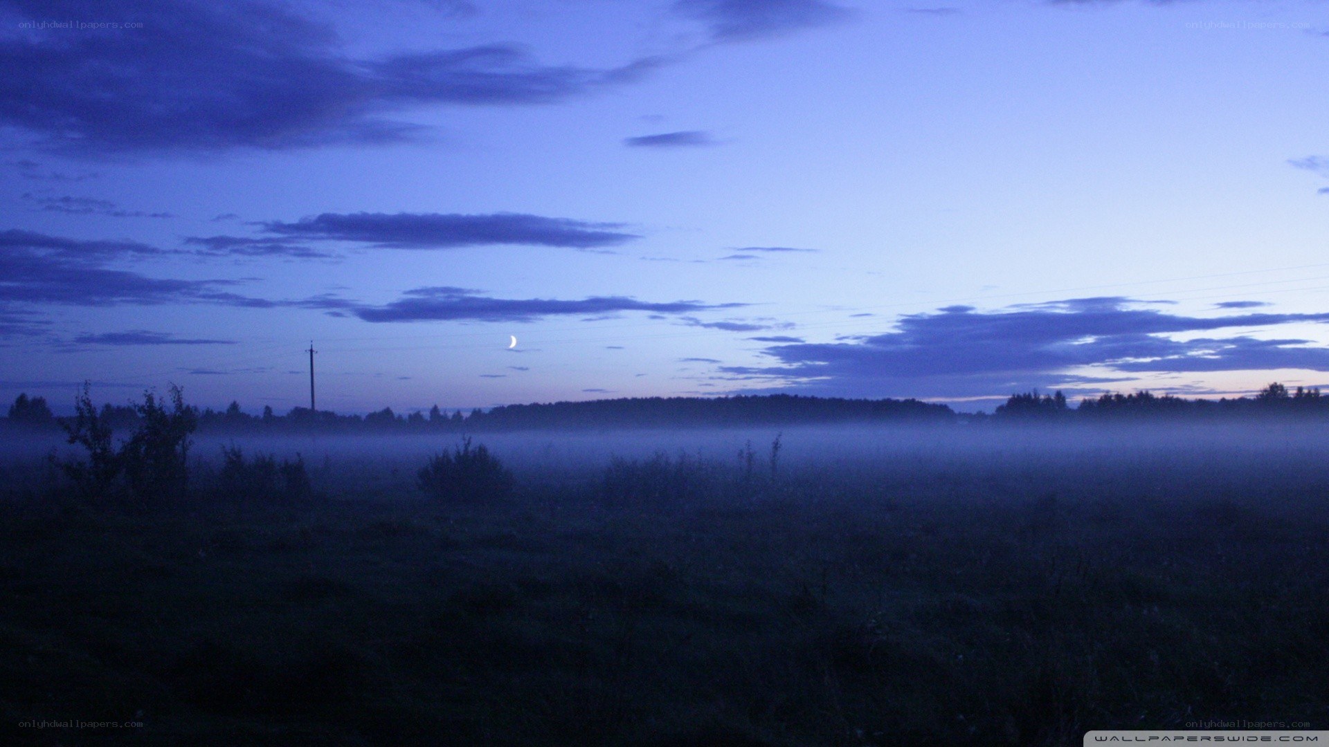Foggy dawn with crescent moon