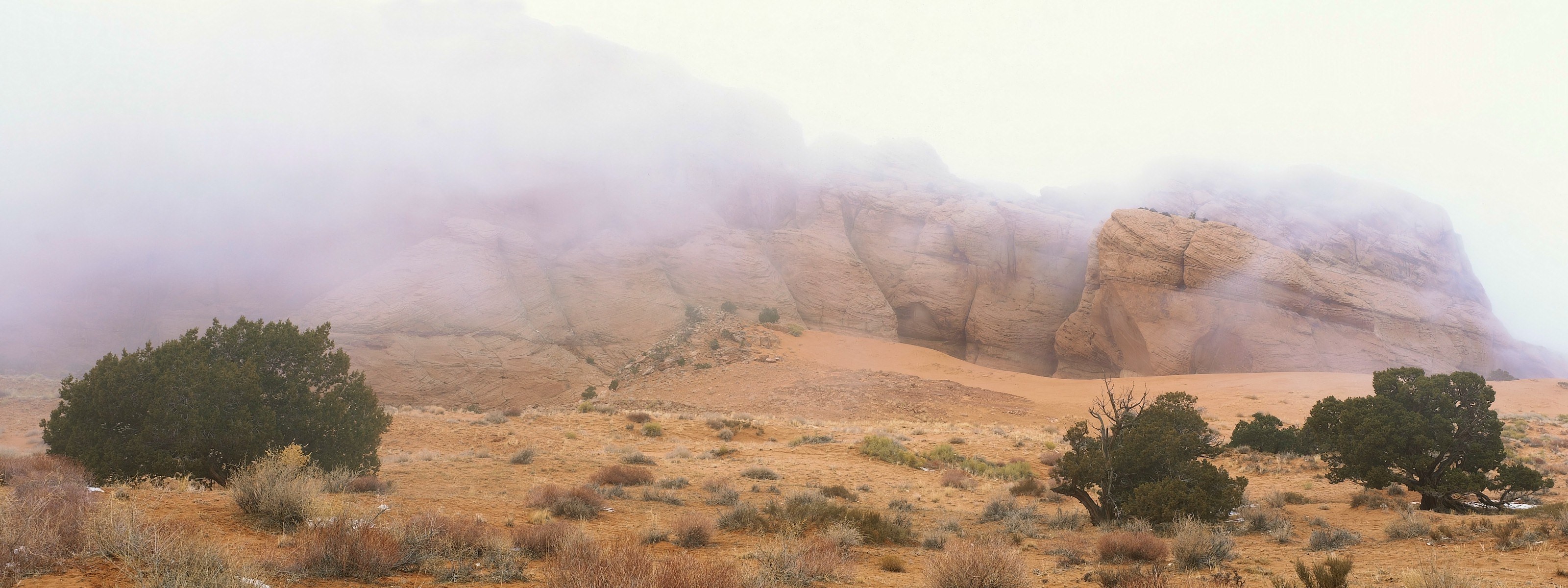 Foggy desert canyon landscape