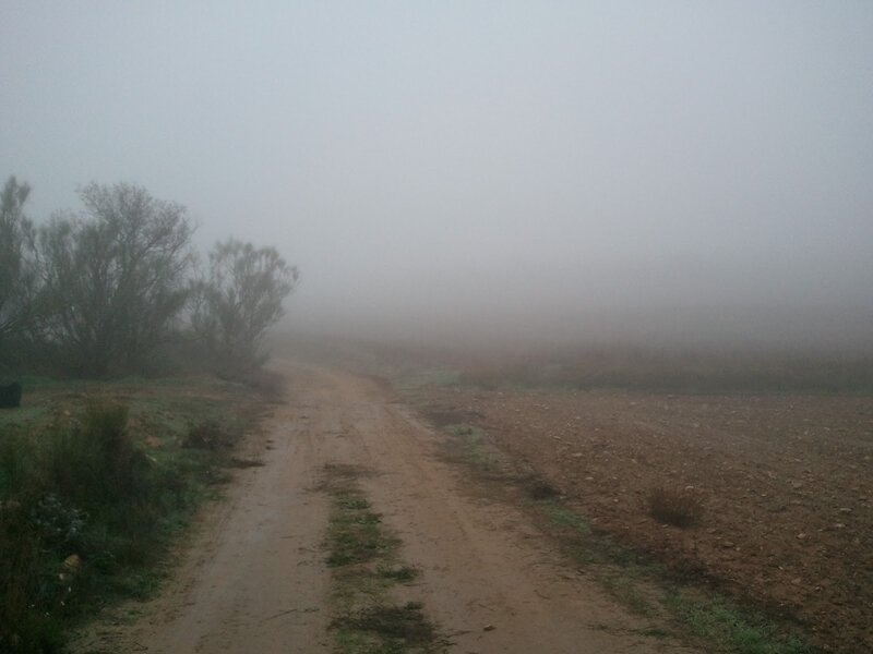 Foggy dirt road in countryside