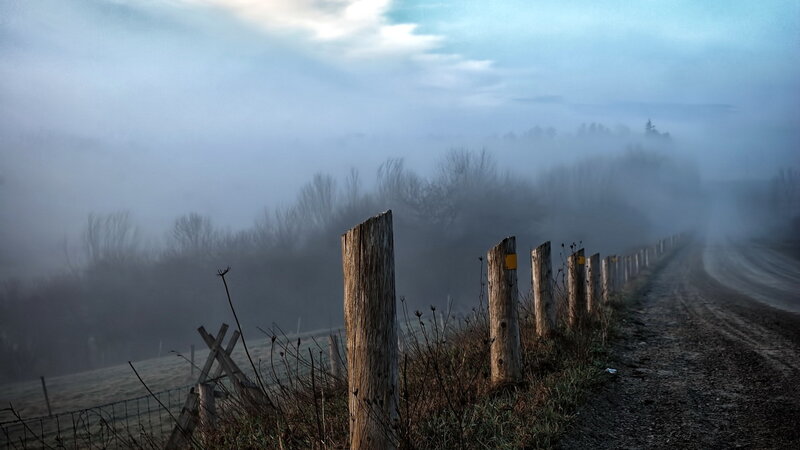 Foggy Dirt Road