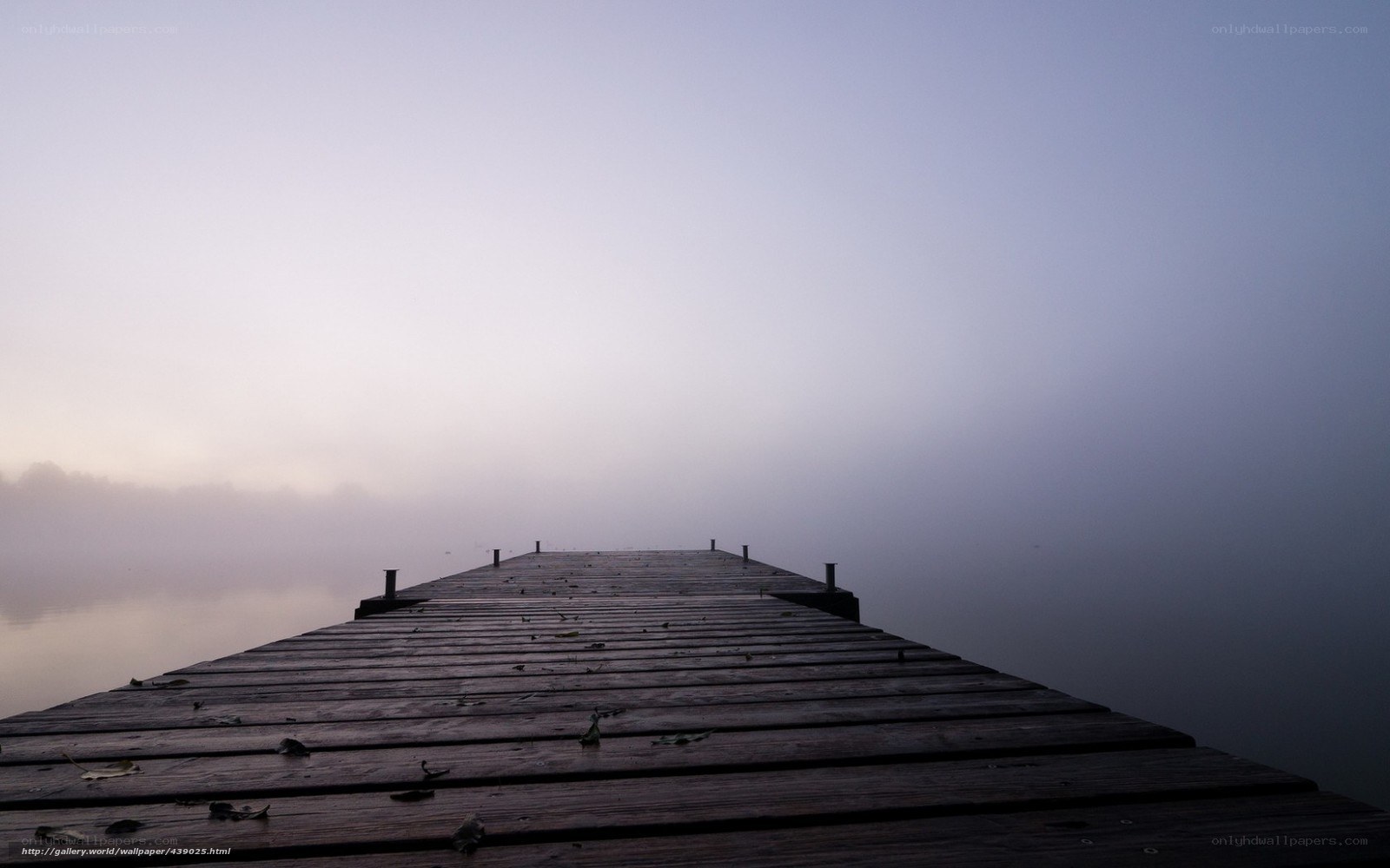 Foggy dock at dawn