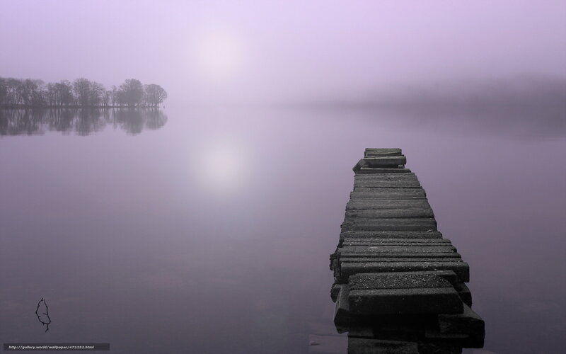 Foggy dock at dawn