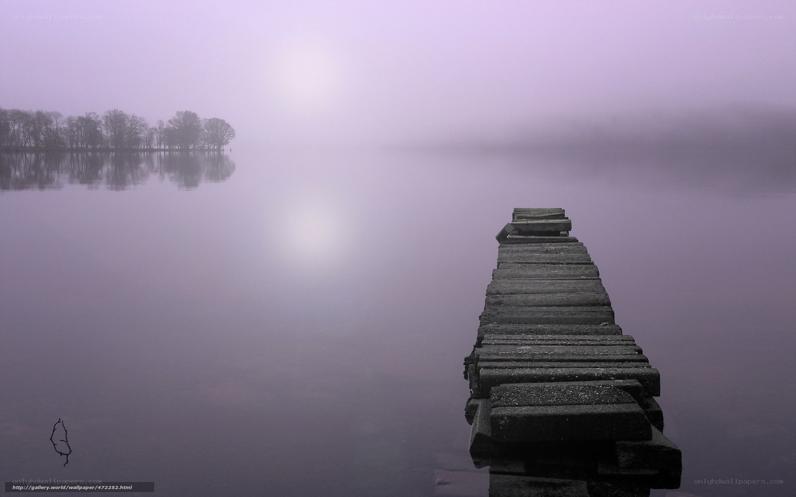 Foggy dock at dawn