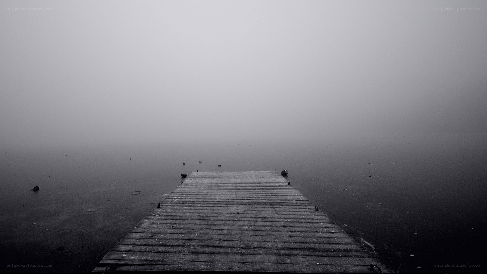 foggy dock at dawn