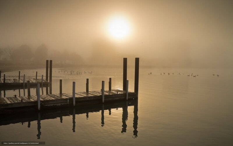 Foggy Dock at Sunrise