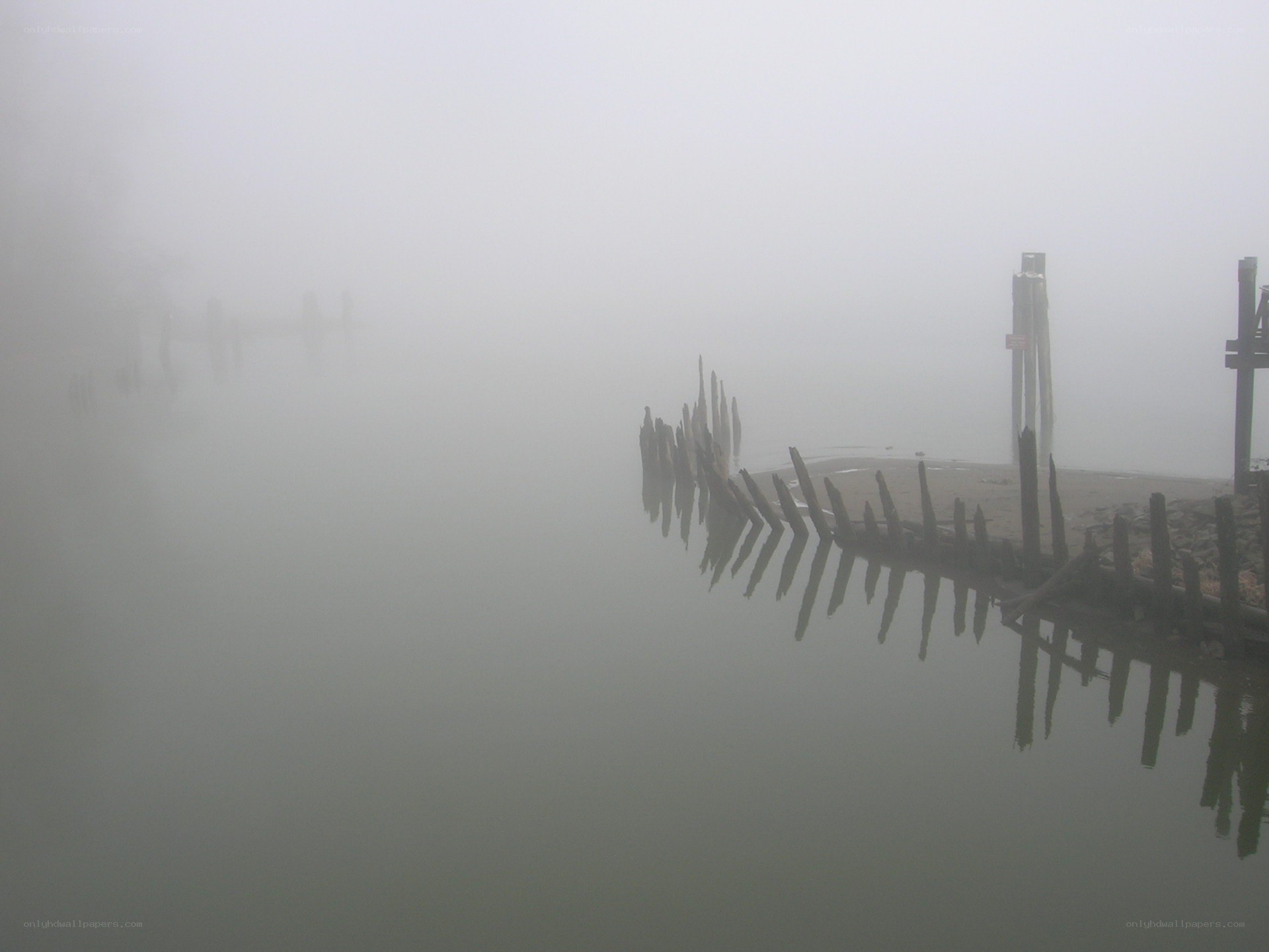 Foggy dock in mist