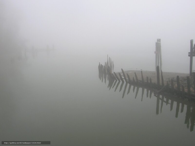 Foggy dock in mist