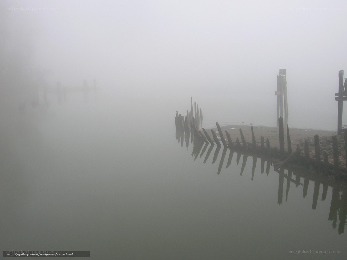 Foggy dock in mist