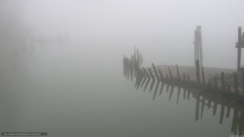 Foggy Dock Pilings