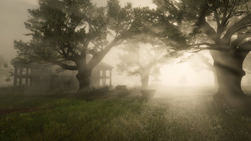 Foggy Estate with Trees