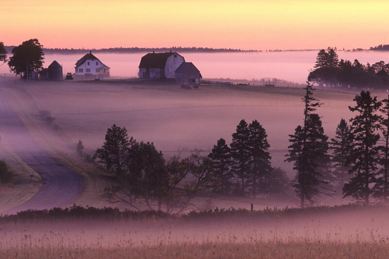 Foggy farm at dawn