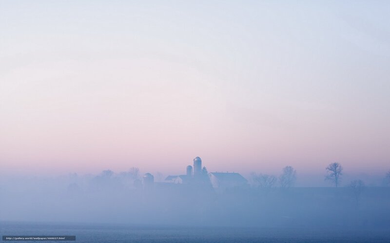 Foggy Farm at Dawn