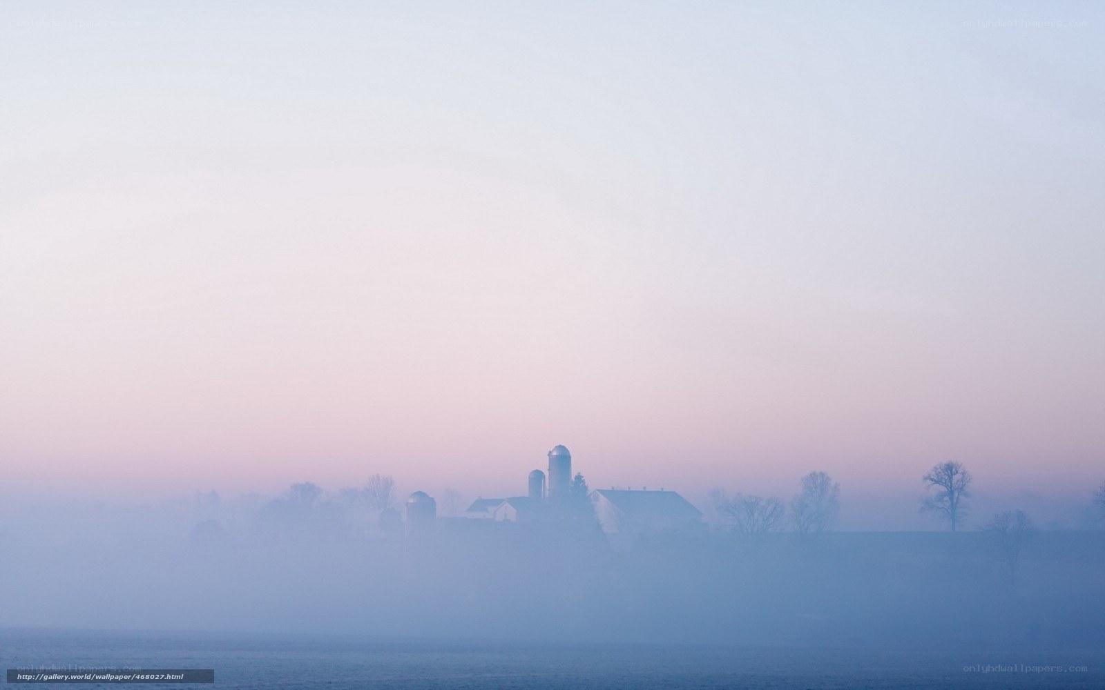 Foggy Farm at Dawn