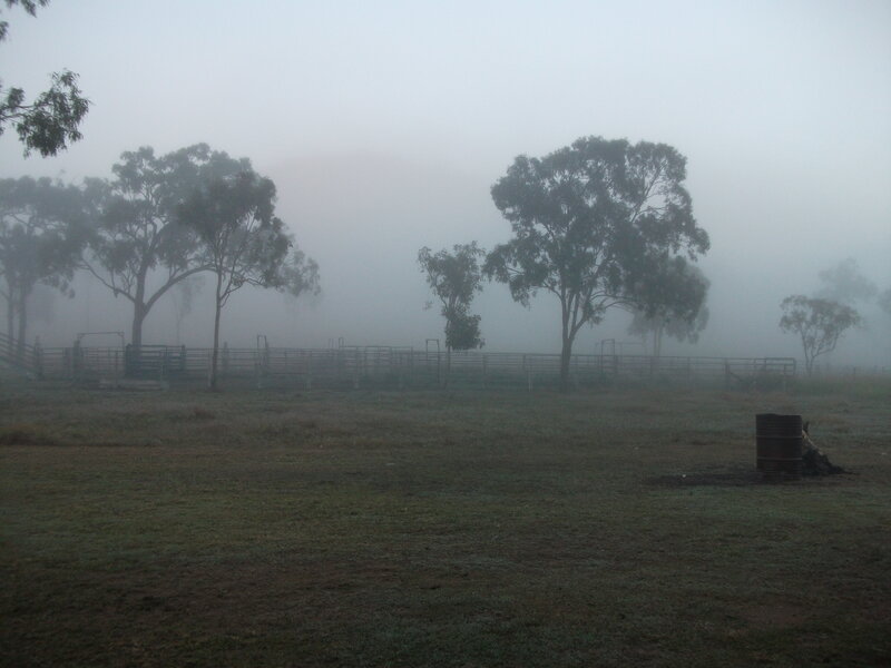 Foggy Farm Field