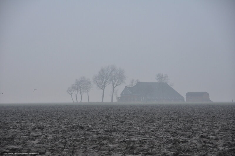 Foggy farm in winter