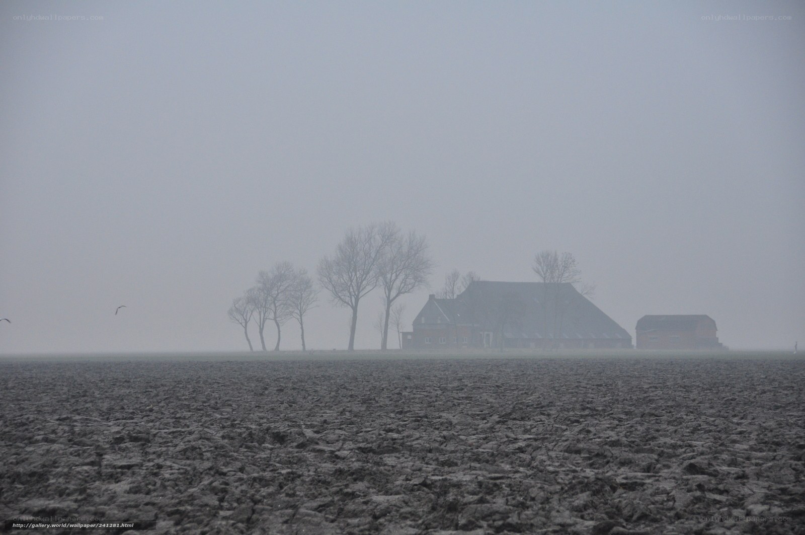 Foggy farm in winter