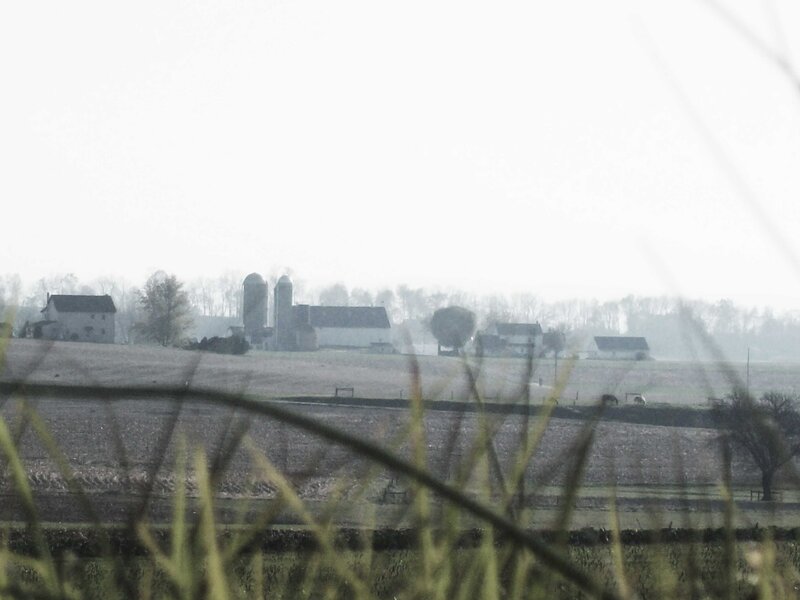 foggy farm landscape