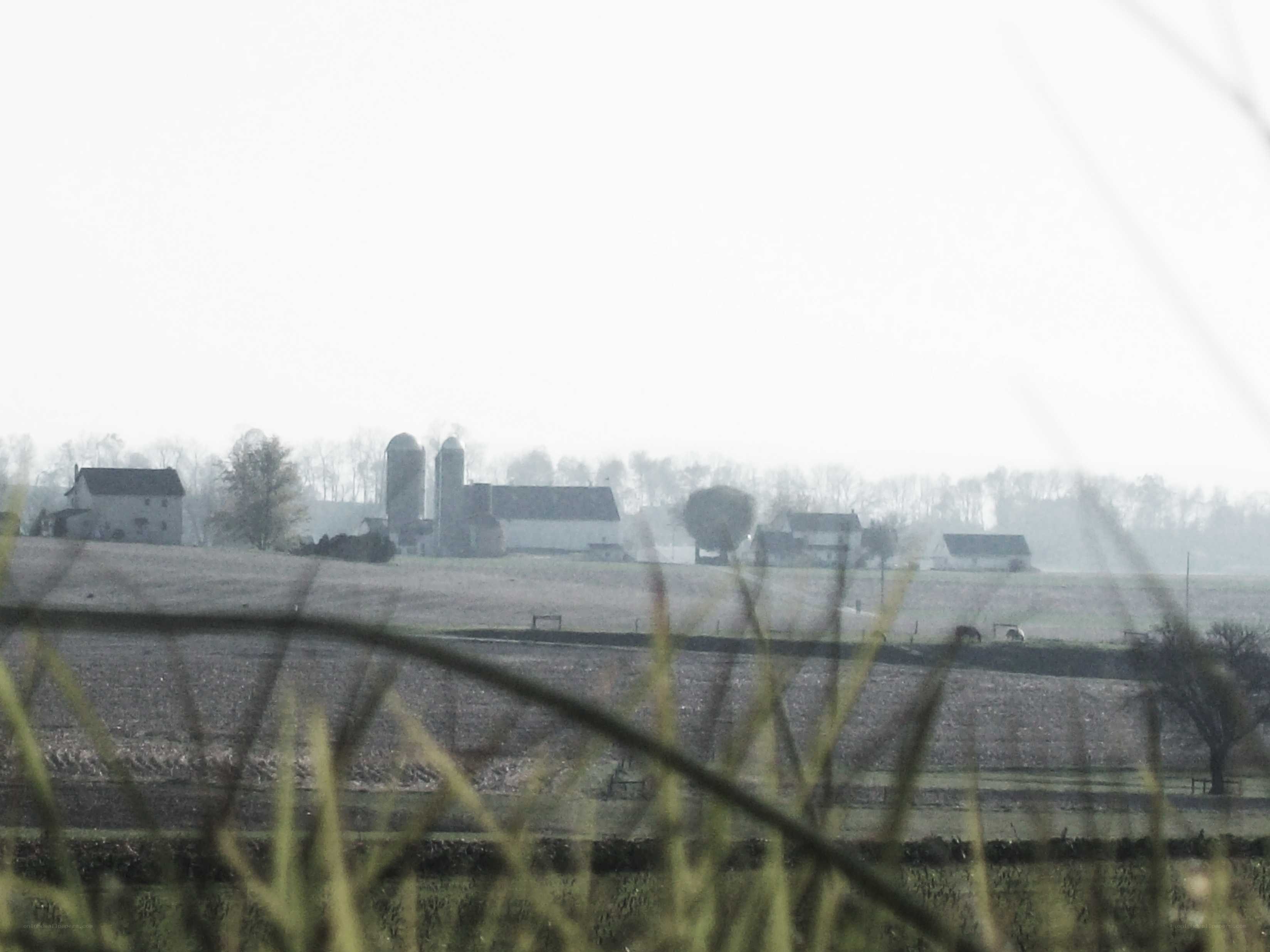 foggy farm landscape