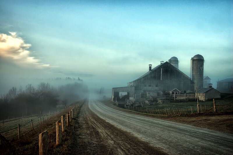 Foggy farm road at dawn