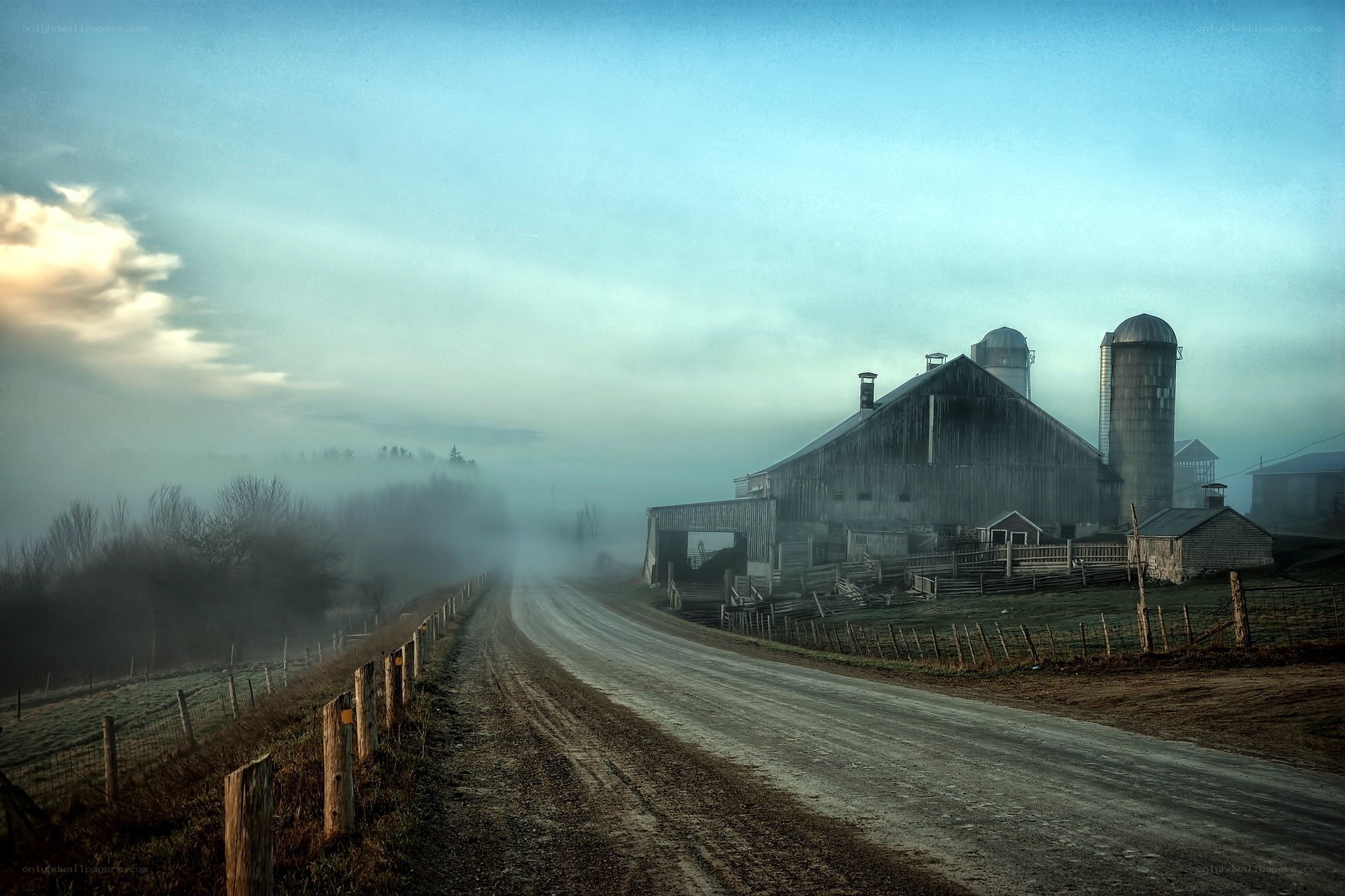 Foggy farm road at dawn