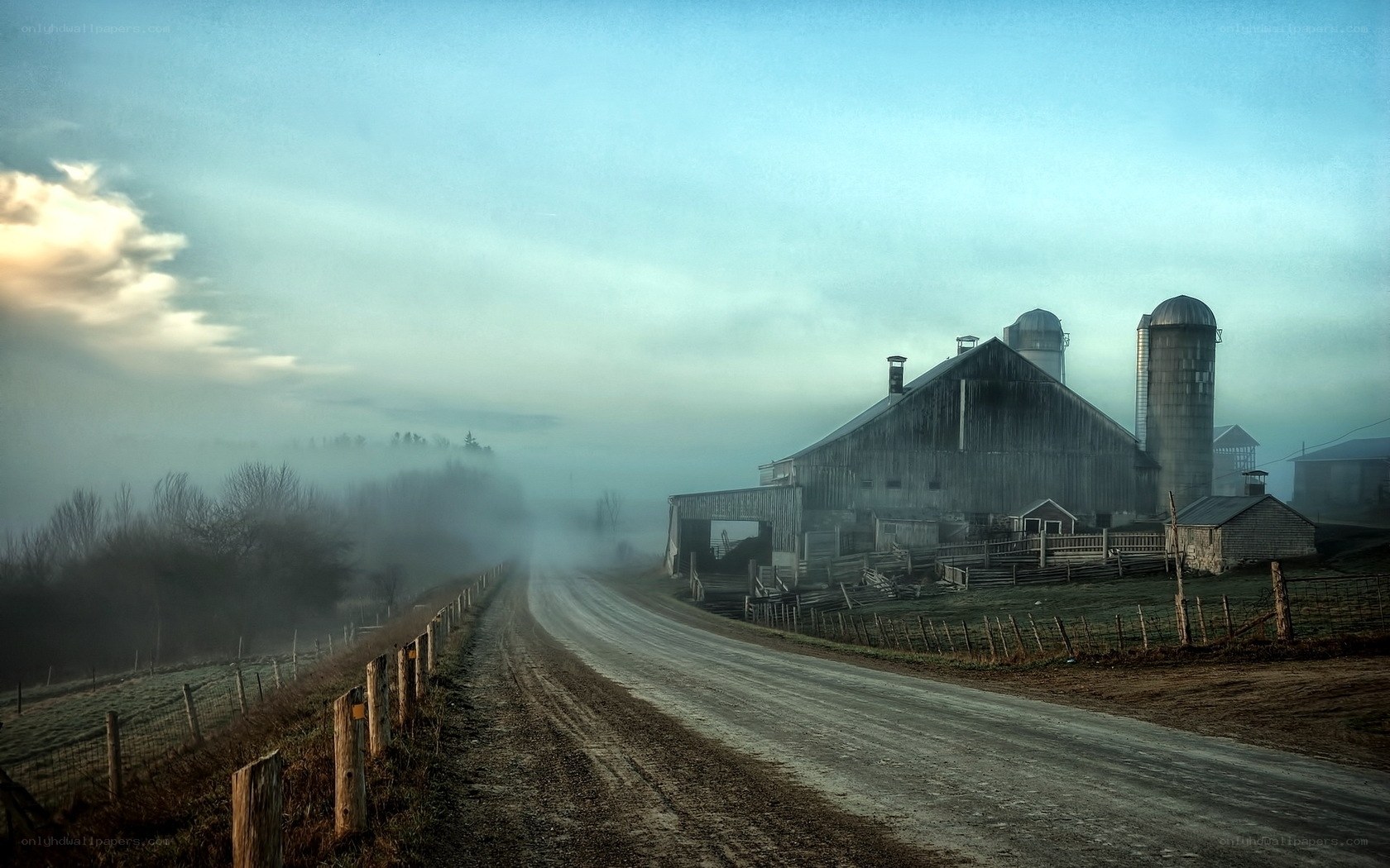 Foggy Farm Road at Dawn