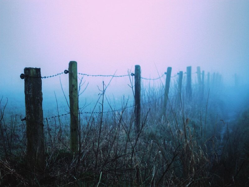 Foggy fence in a field