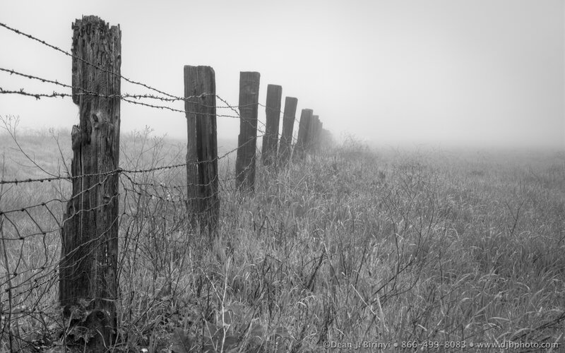 Foggy fence in a field