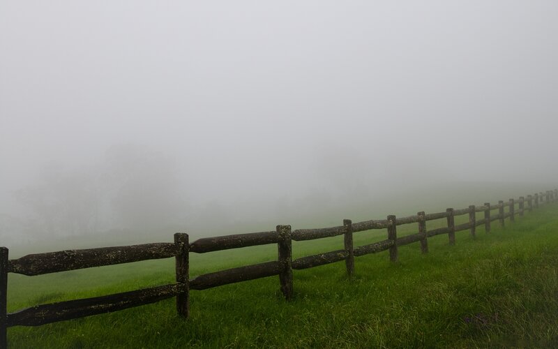 Foggy fence in a green field