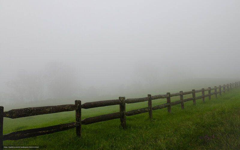 Foggy fence in a green field