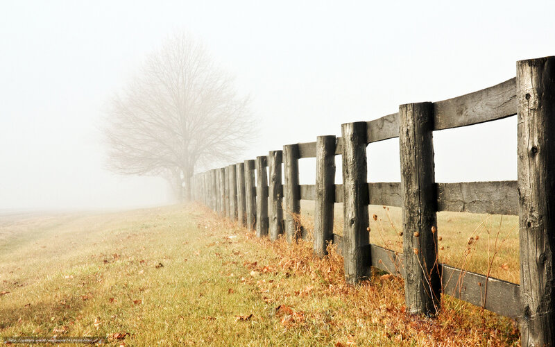 Foggy fence in autumn field