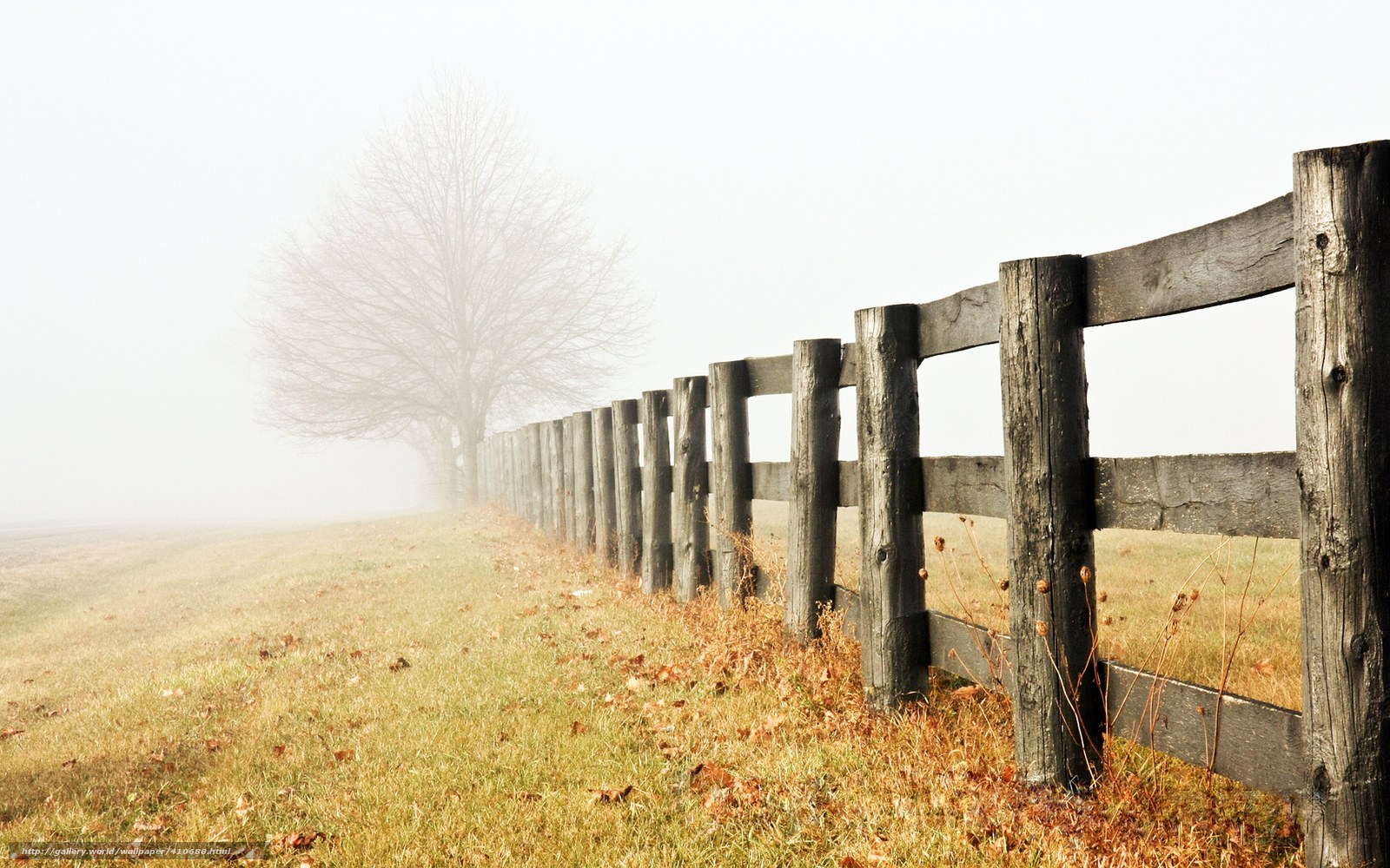 Foggy fence in autumn field