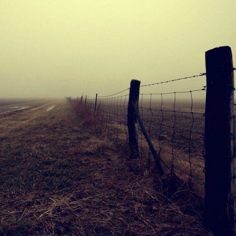 Foggy fence line in a field
