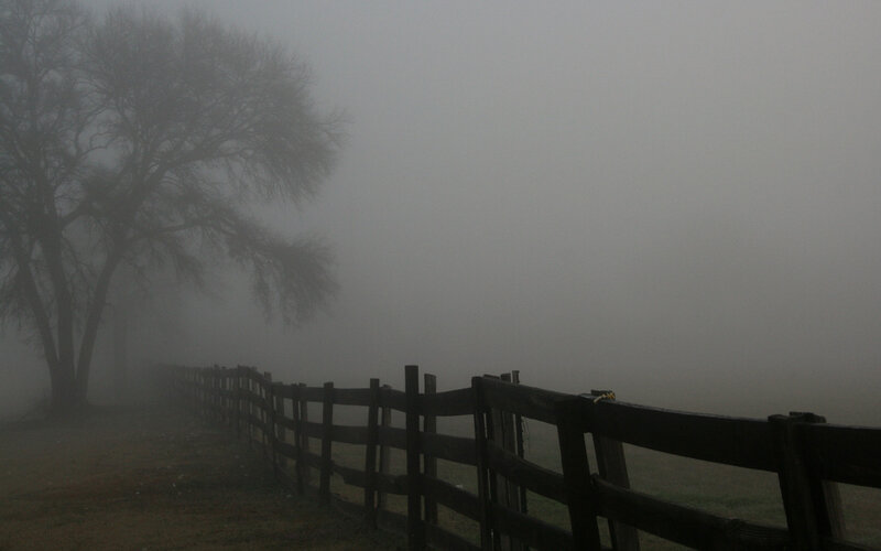 Foggy fence on a quiet morning