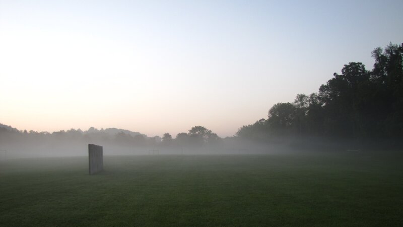 foggy field at dawn