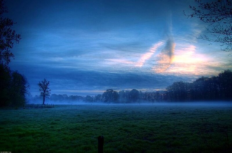 Foggy field at dawn