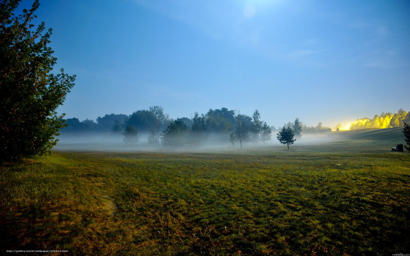 Foggy Field at Dawn