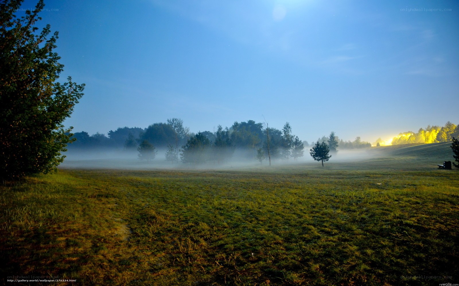 Foggy Field at Dawn